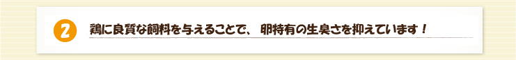 兵庫県認証食品　冨士ファームの美味しい赤たまご　特徴