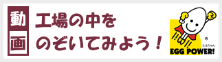 たまごがお手元に届くまで