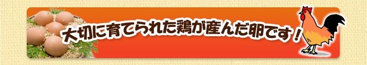 夕焼けほっぺ　赤たまご　 大切に育てられた鶏が産んだ卵です! 　