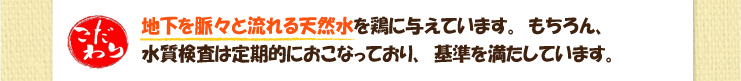 夕焼けほっぺ　赤たまご　鶏には、とうもろこしやお米、大豆油かすなど、
厳選された良質で栄養たっぷりの配合飼料を与えています。　